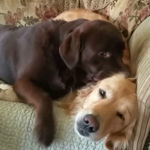 Meet your Posher, Jiyoon